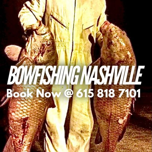 Fishing Report In Nashville